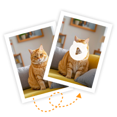 Crea divertidos vídeos de gatos con AI